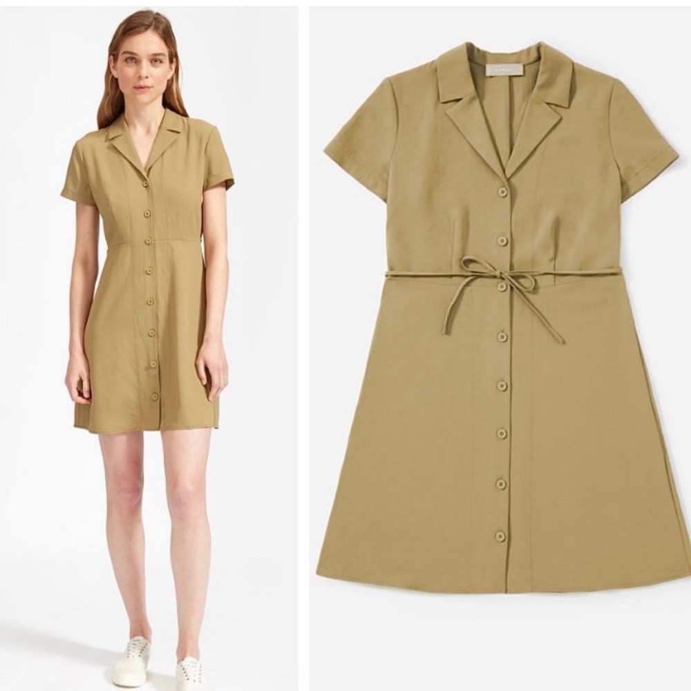 Everlane The Japanese GoWeave Notch Shirtdress